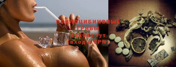 индика Абинск