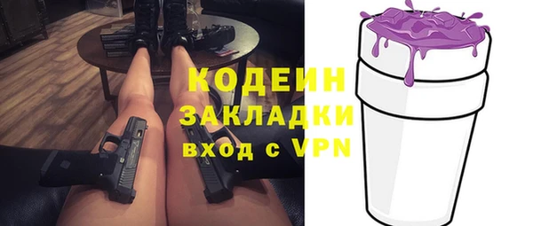 индика Абинск