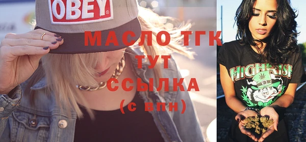 индика Абинск